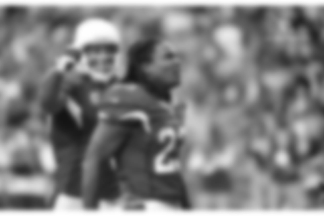 RB Chris Johnson: 6 points