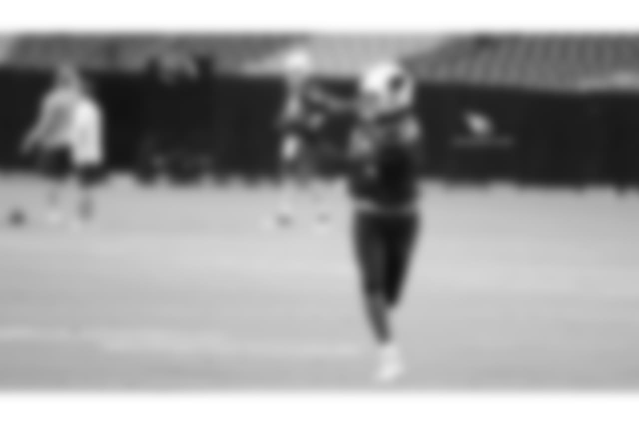 WR Brice Butler