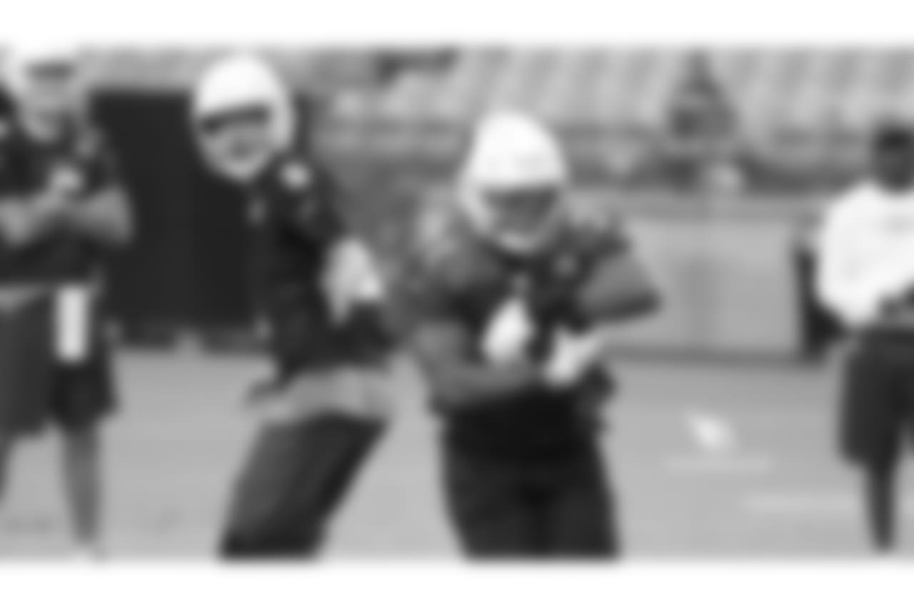 RB David Johnson takes the handoff from QB Sam Bradford