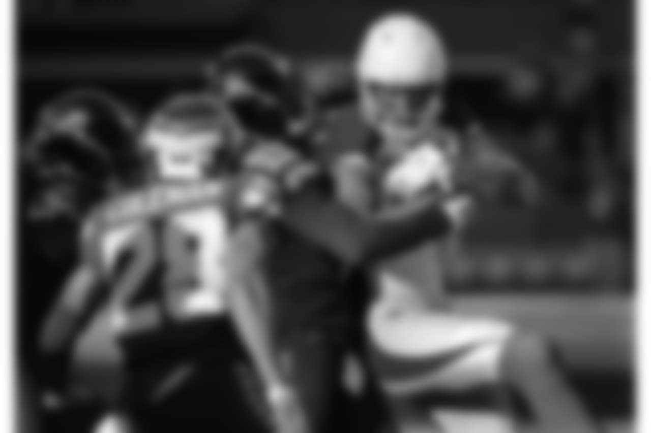 WR Larry Fitzgerald