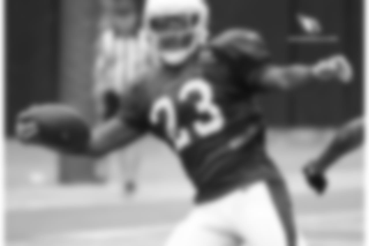 RB Chris Johnson stretches for the goal-line
