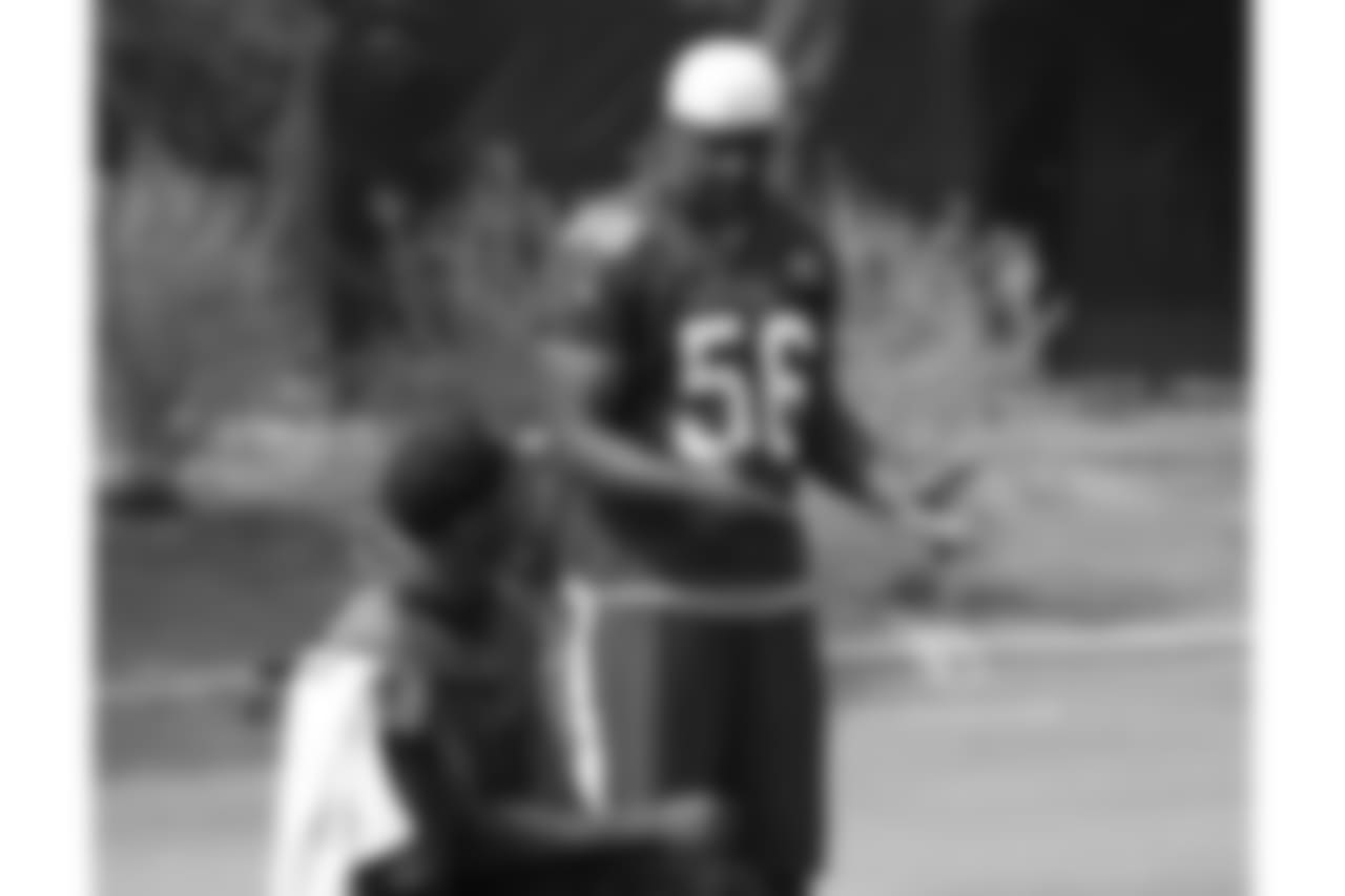 LB Karlos Dansby