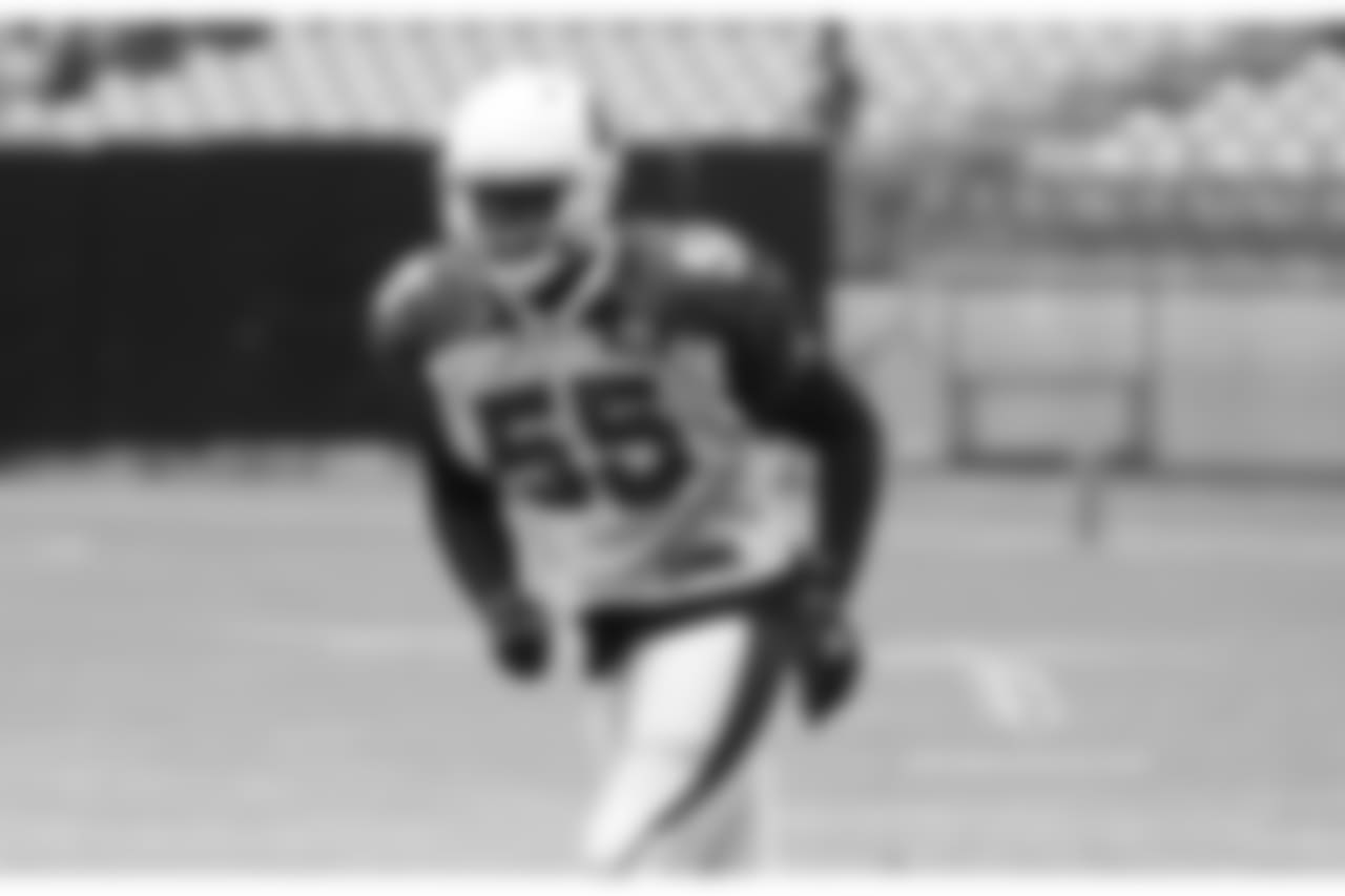 LB Chandler Jones