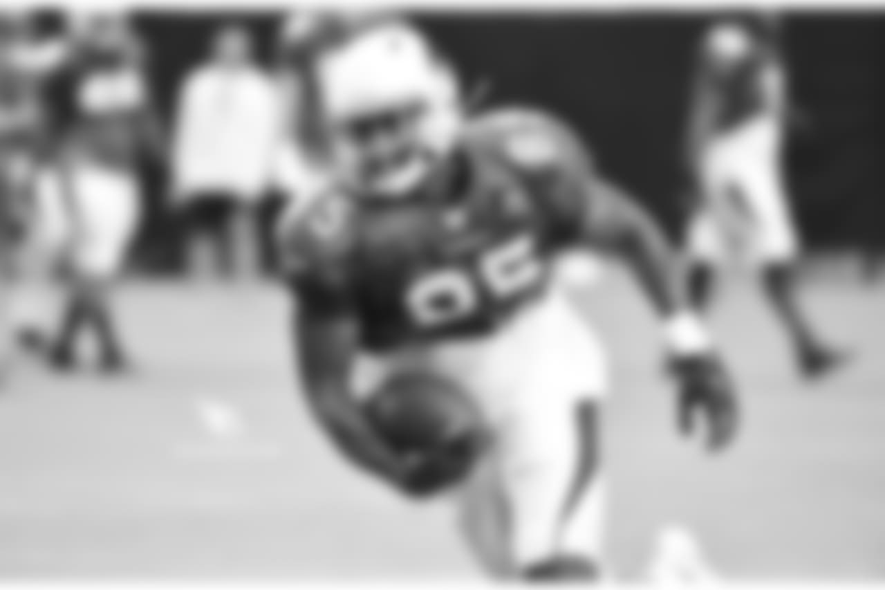 TE Gabe Holmes