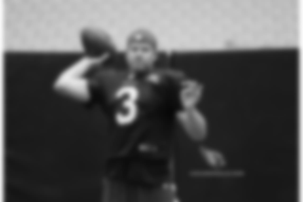 QB Carson Palmer