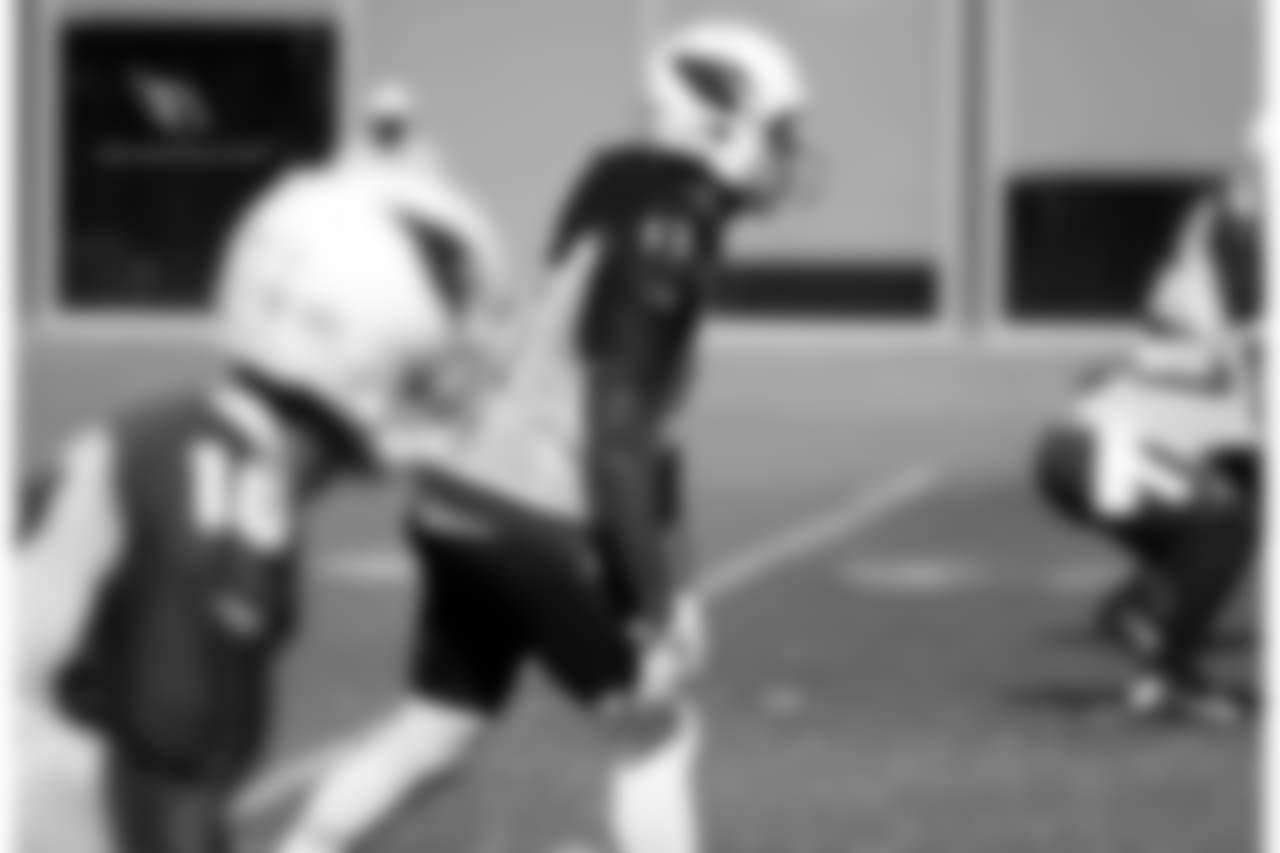 WR Larry Fitzgerald