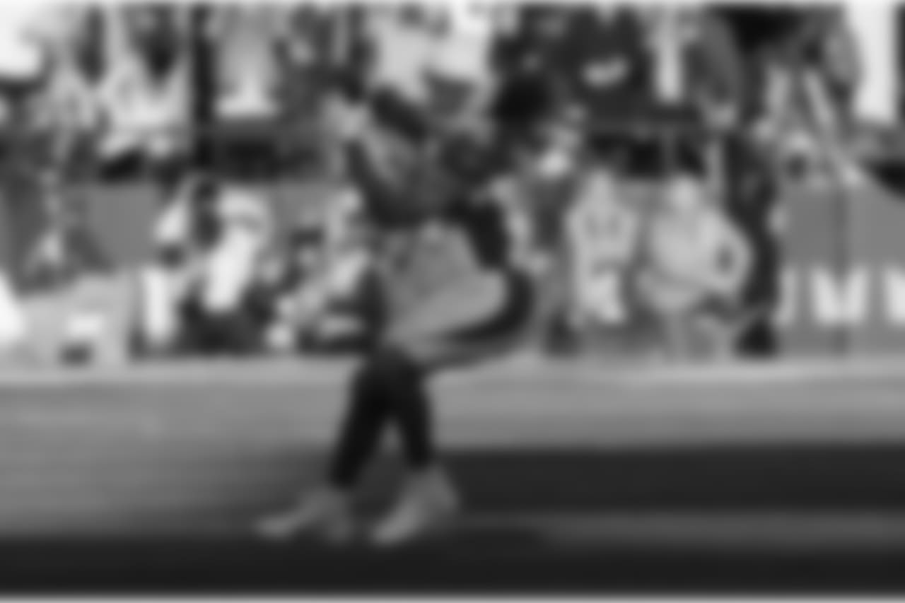 WR Larry Fitzgerald
