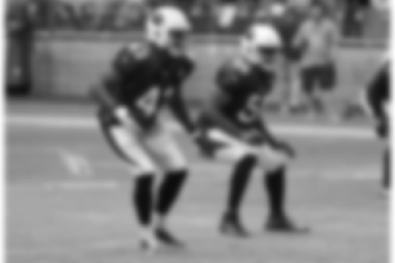 LBs Haason Reddick and Karlos Dansby