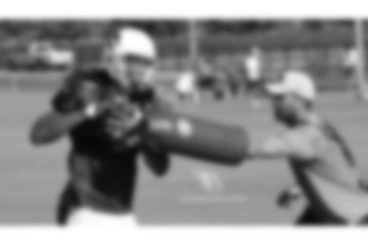 WR Larry Fitzgerald
