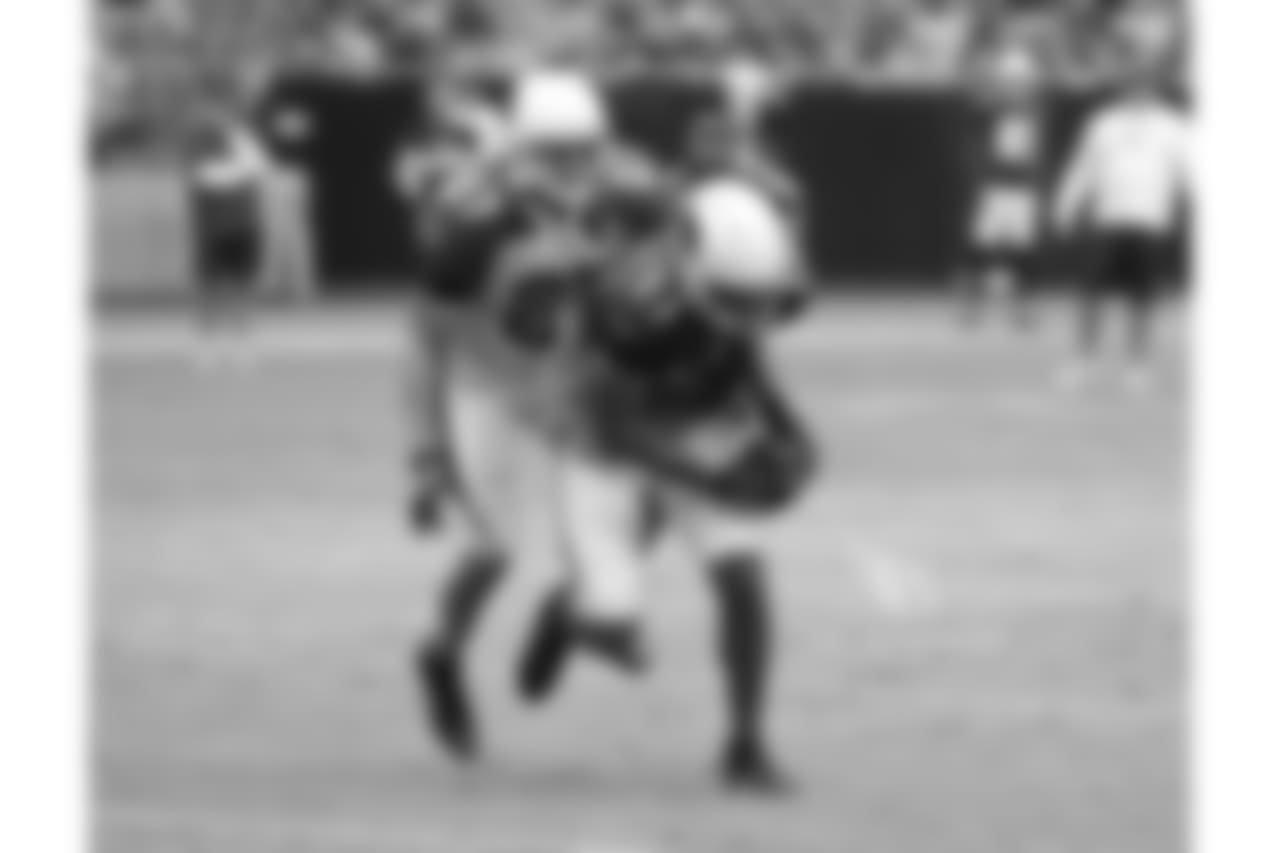 WR Larry Fitzgerald