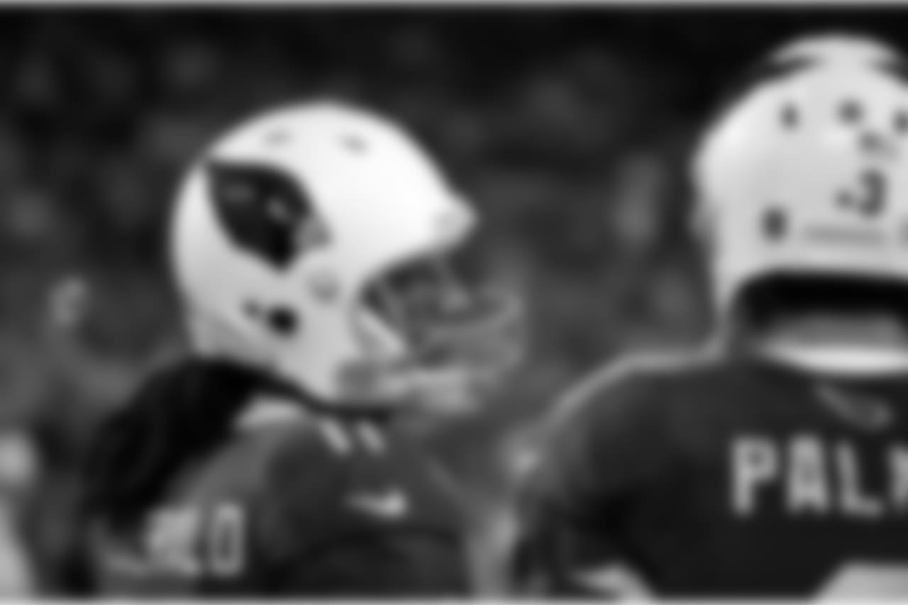 Palmer and Fitz in the 2015 NFC Championship game