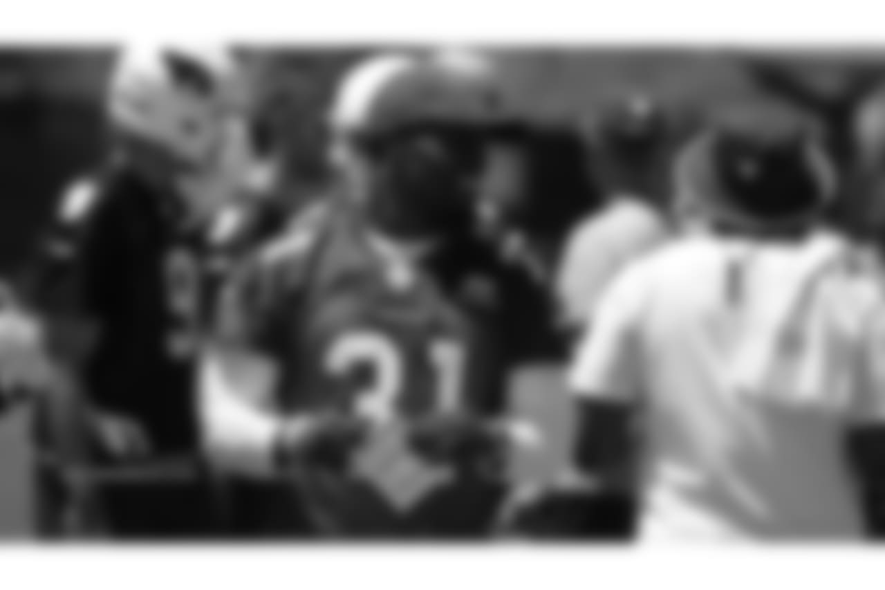 RB David Johnson