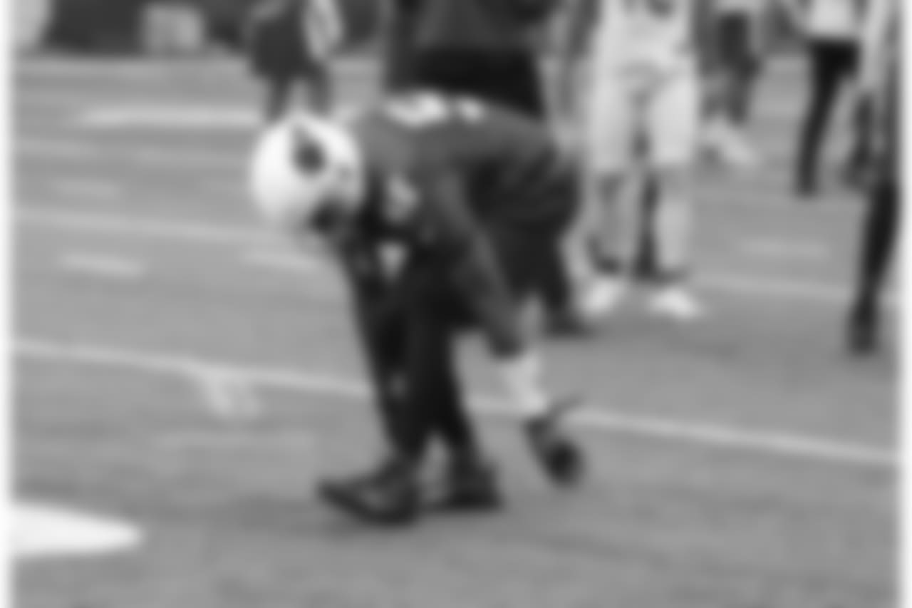 LB Karlos Dansby