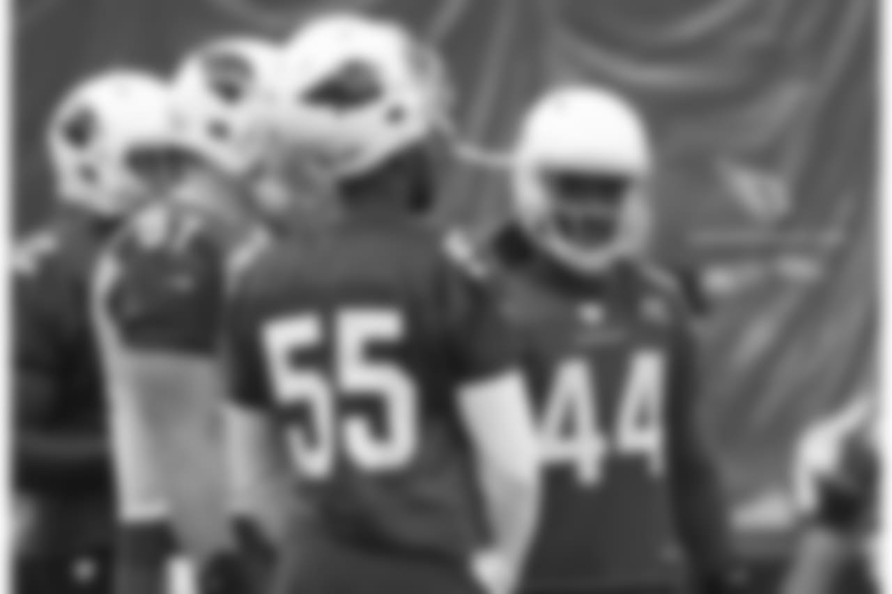 LB Markus Golden