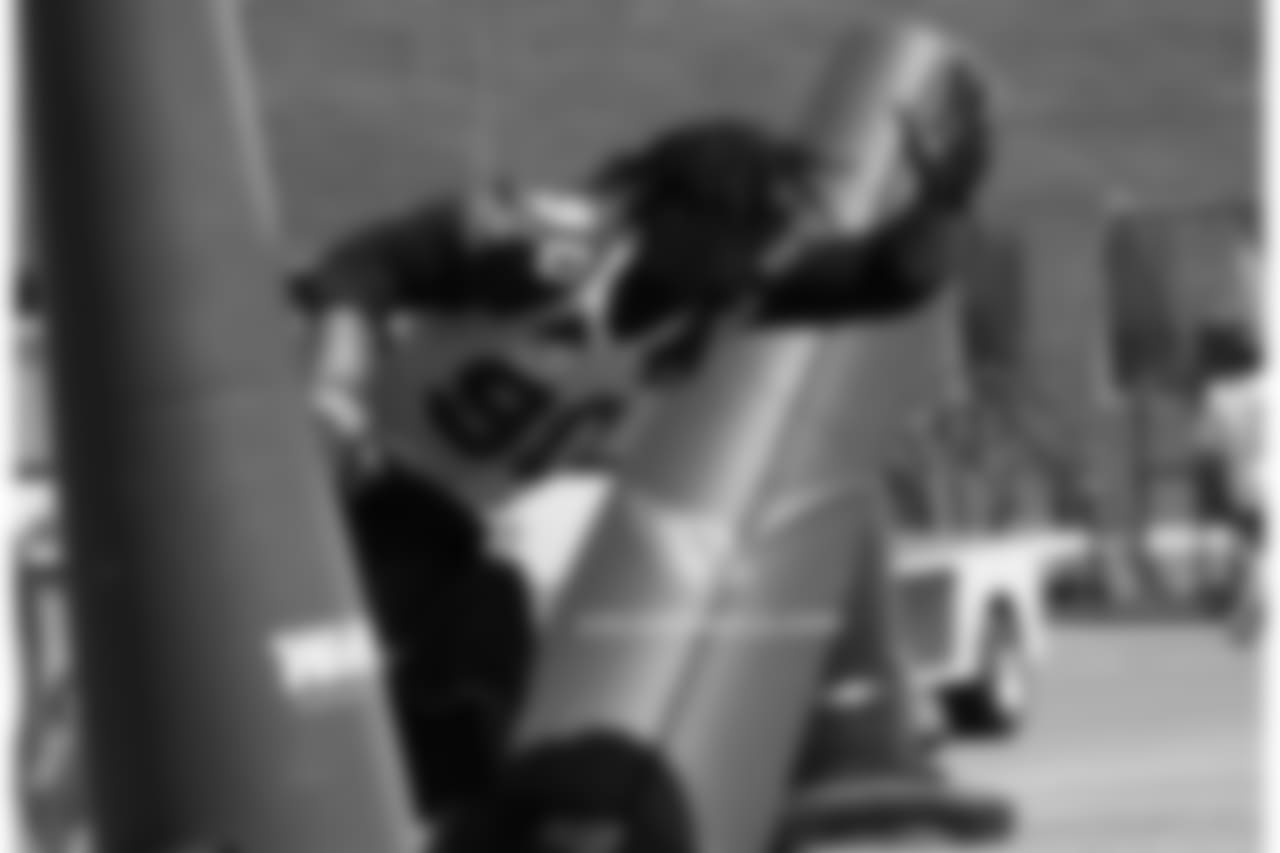 DT Robert Nkemdiche