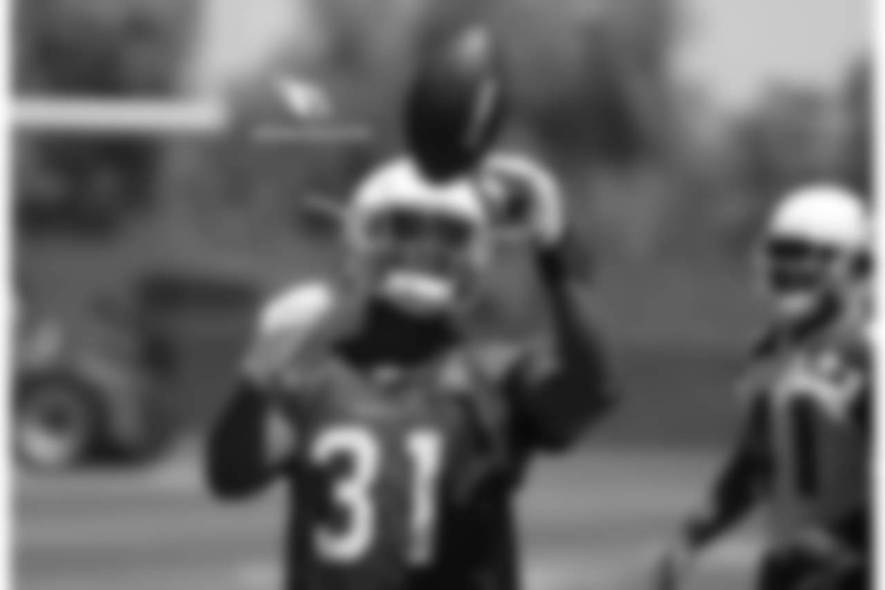 RB David Johnson