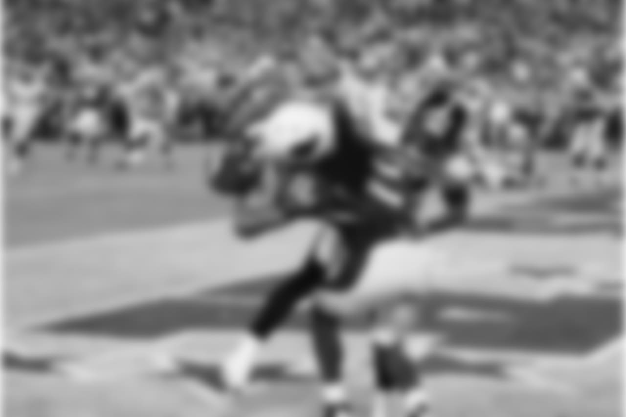 Fitz brings in his first Super TD over Steelers CB Ike Taylor