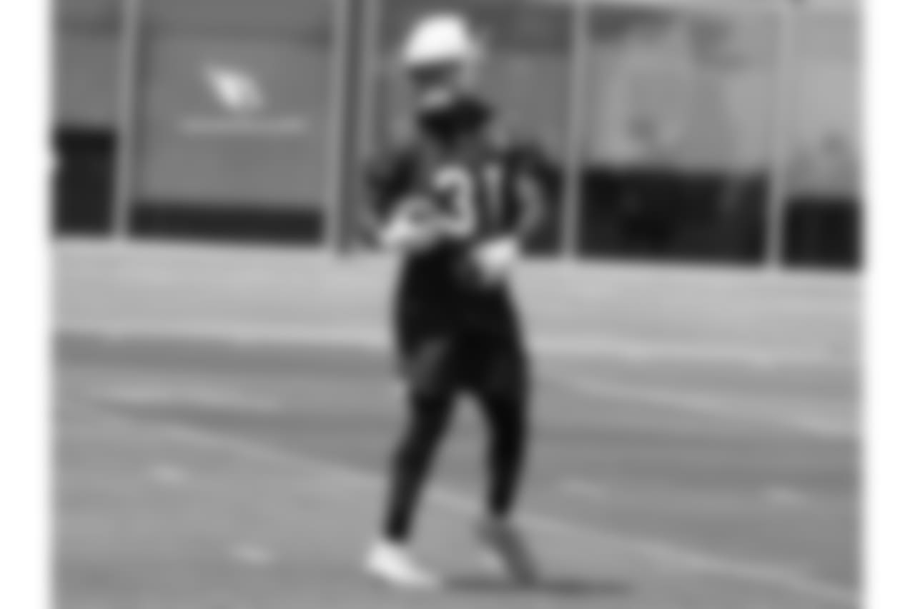RB David Johnson