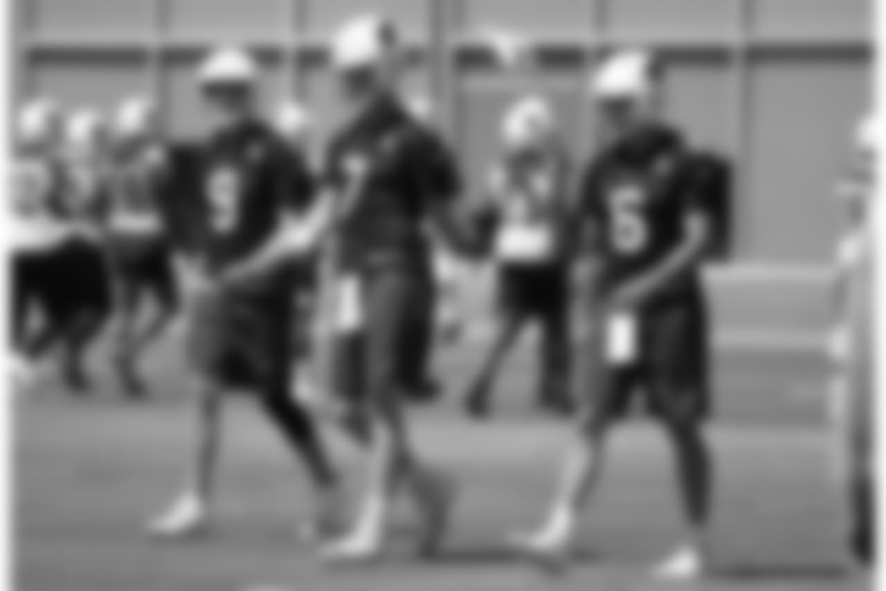 From left: QB Sam Bradford, QB Mike Glennon, QB Chad Kanoff