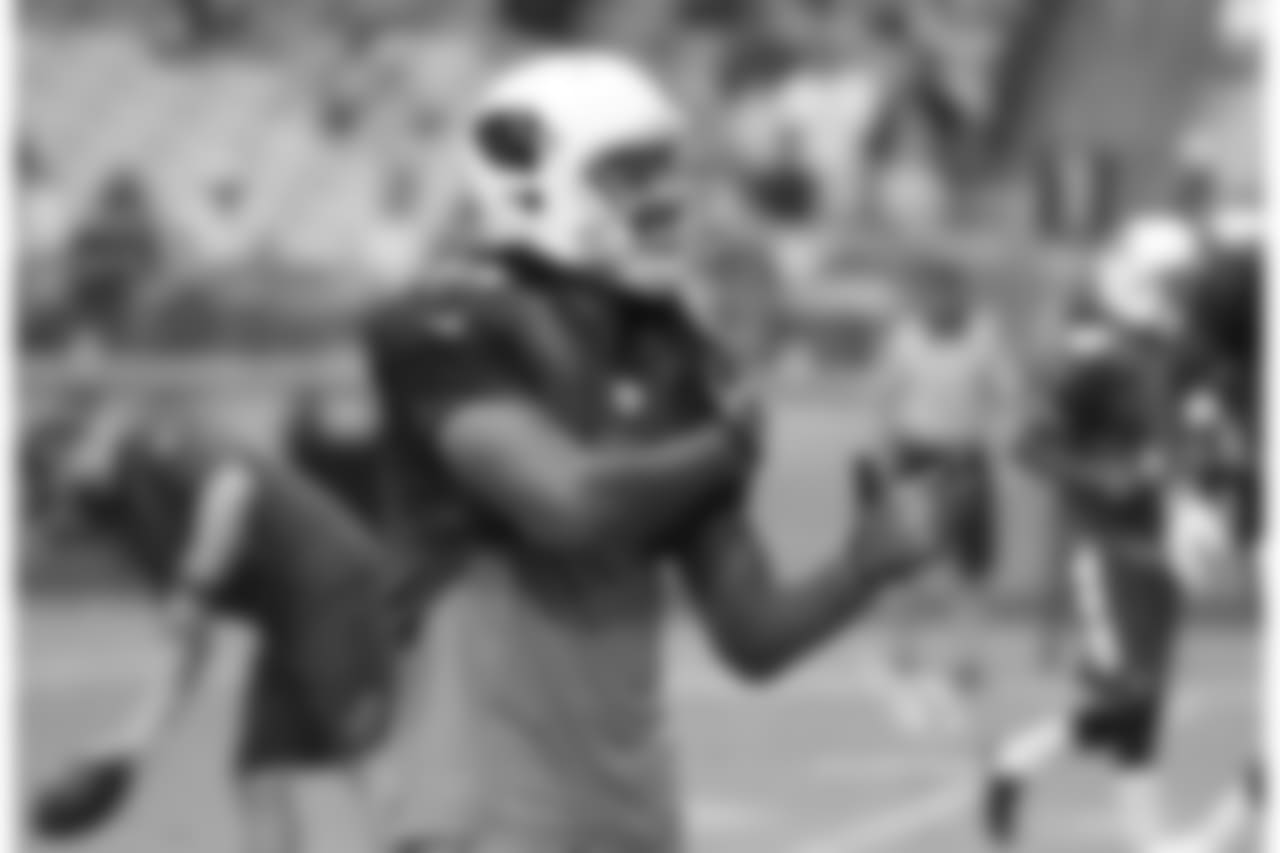 WR Larry Fitzgerald