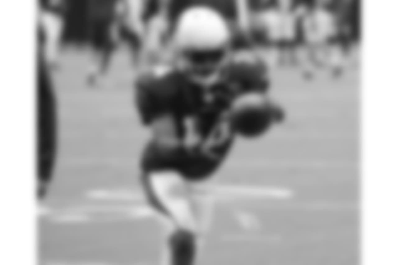 WR J.J. Nelson