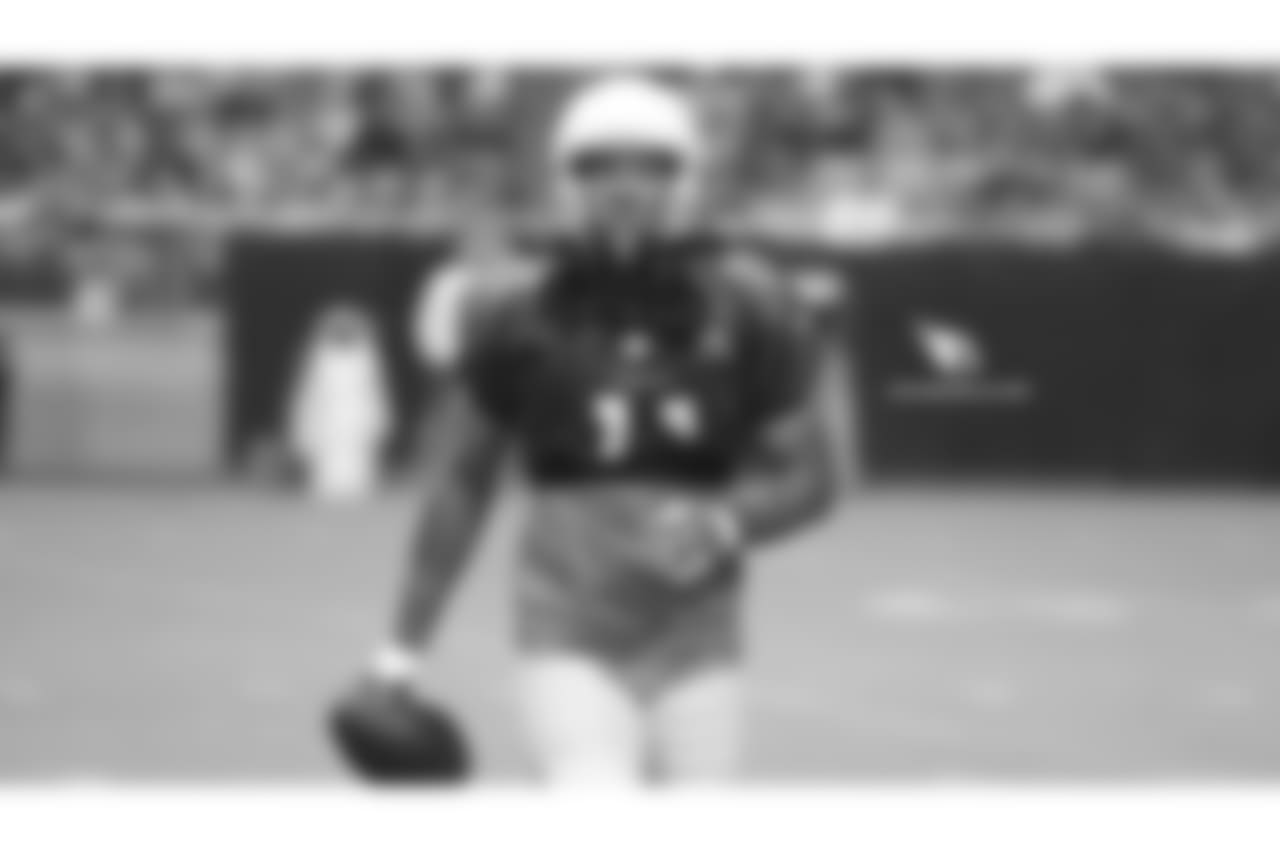 WR Larry Fitzgerald