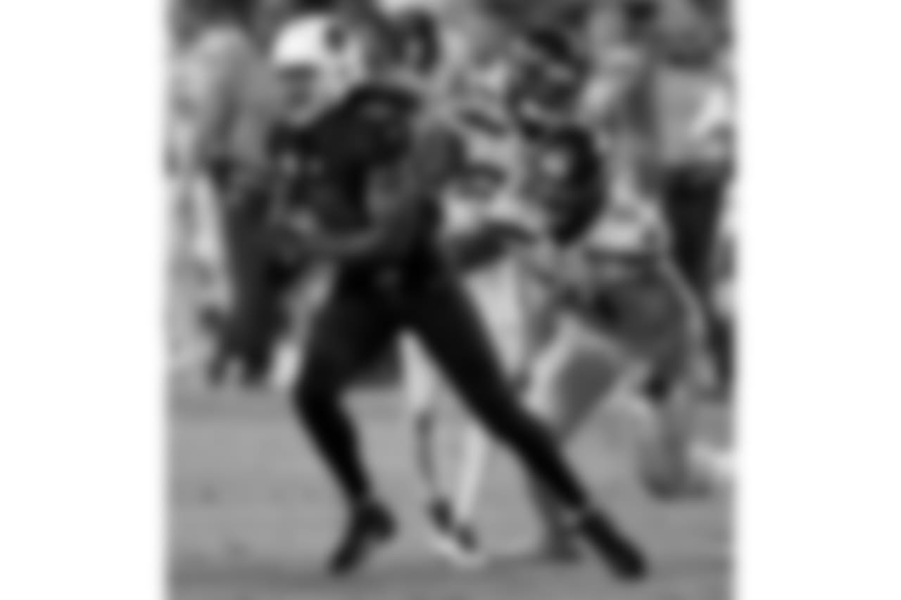 WR Larry Fitzgerald with the catch