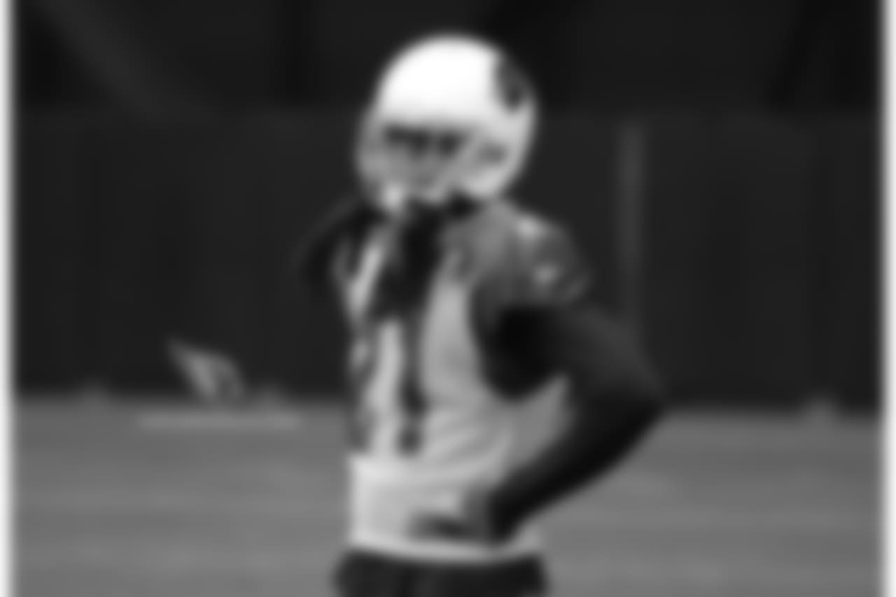 CB Patrick Peterson
