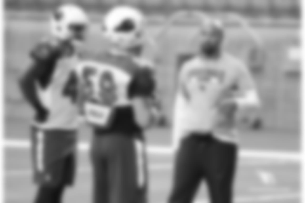 LB coach Larry Foote dispensing advice