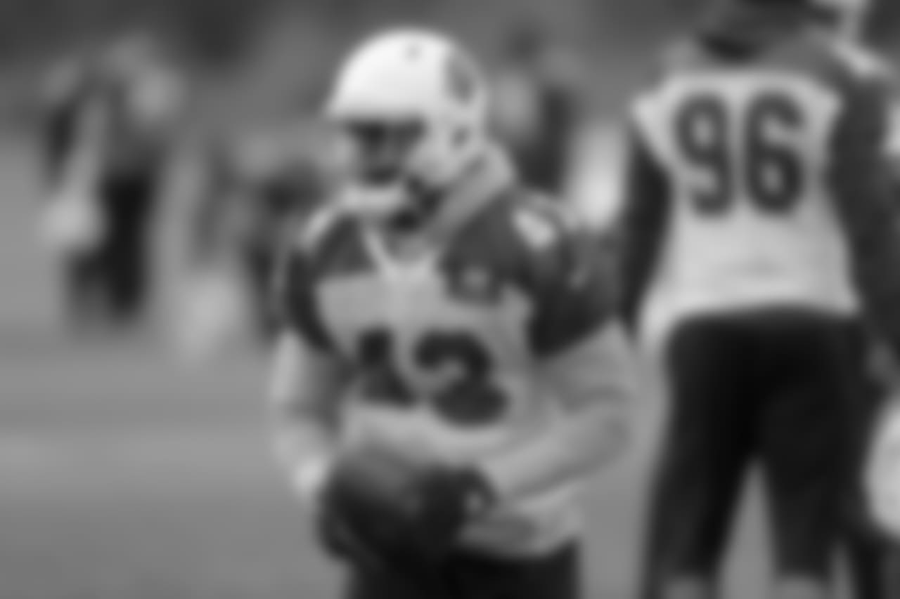 Coach Bruce Arians