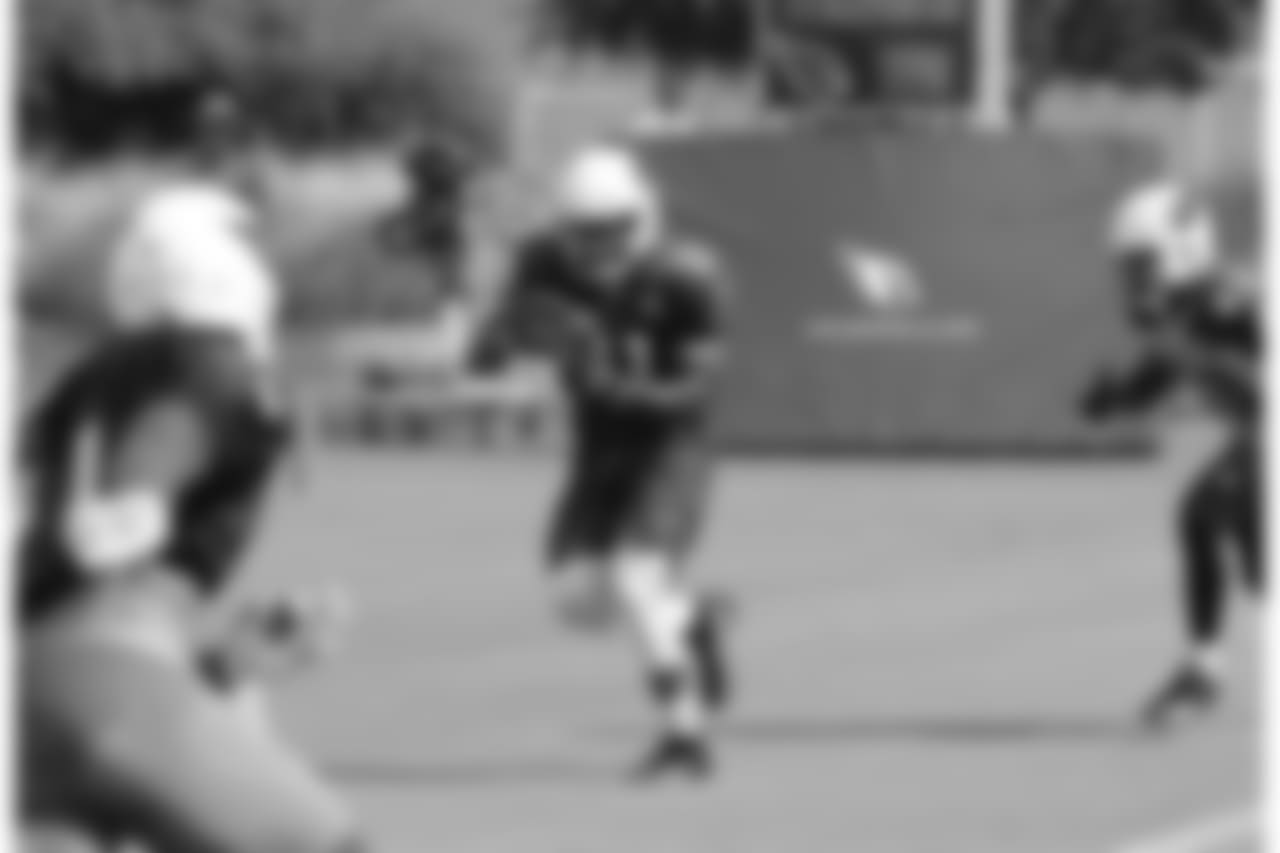 RB David Johnson catches a touchdown pass
