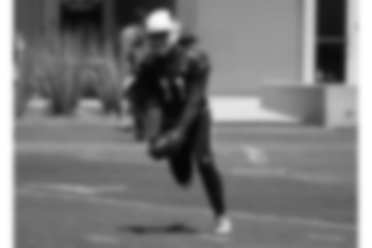 WR Larry Fitzgerald
