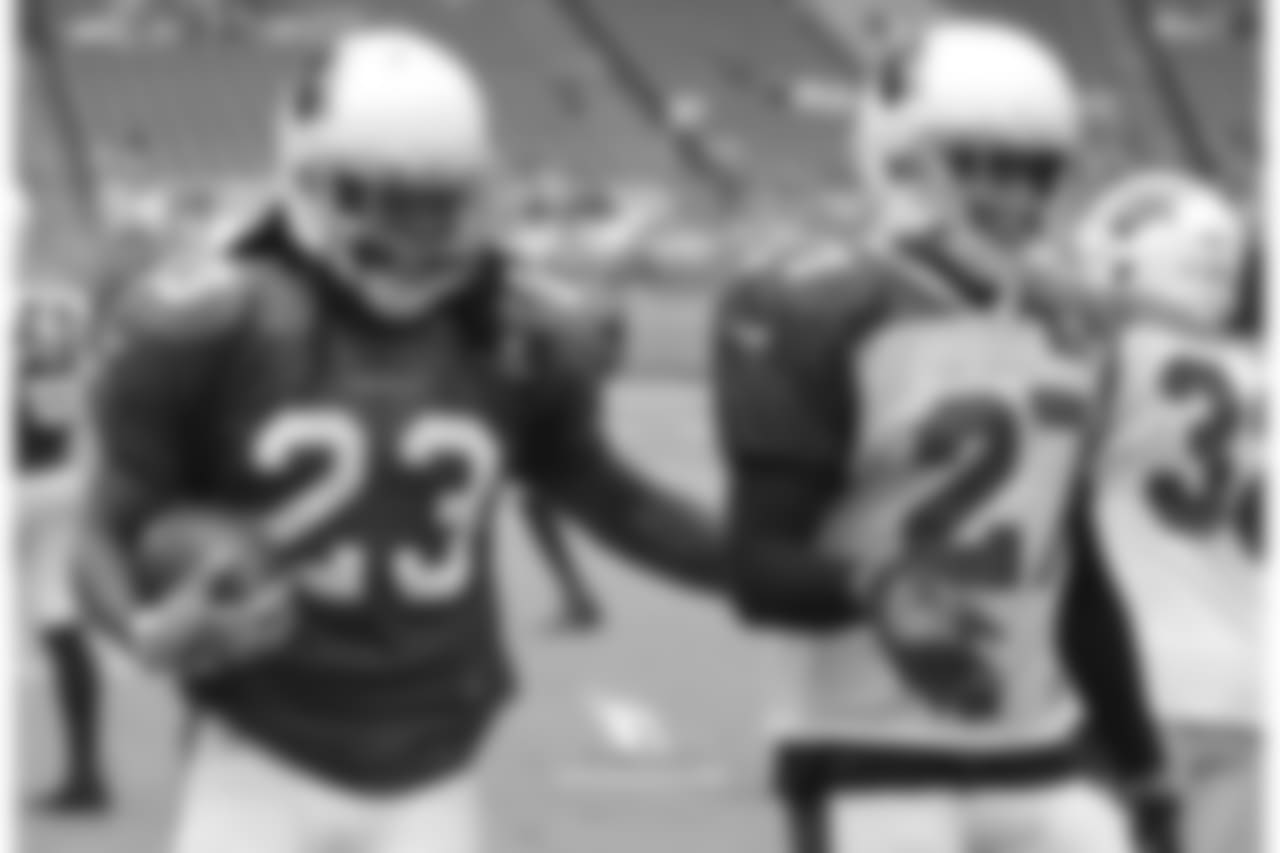 RB Chris Johnson (left) and S Tyvon Branch