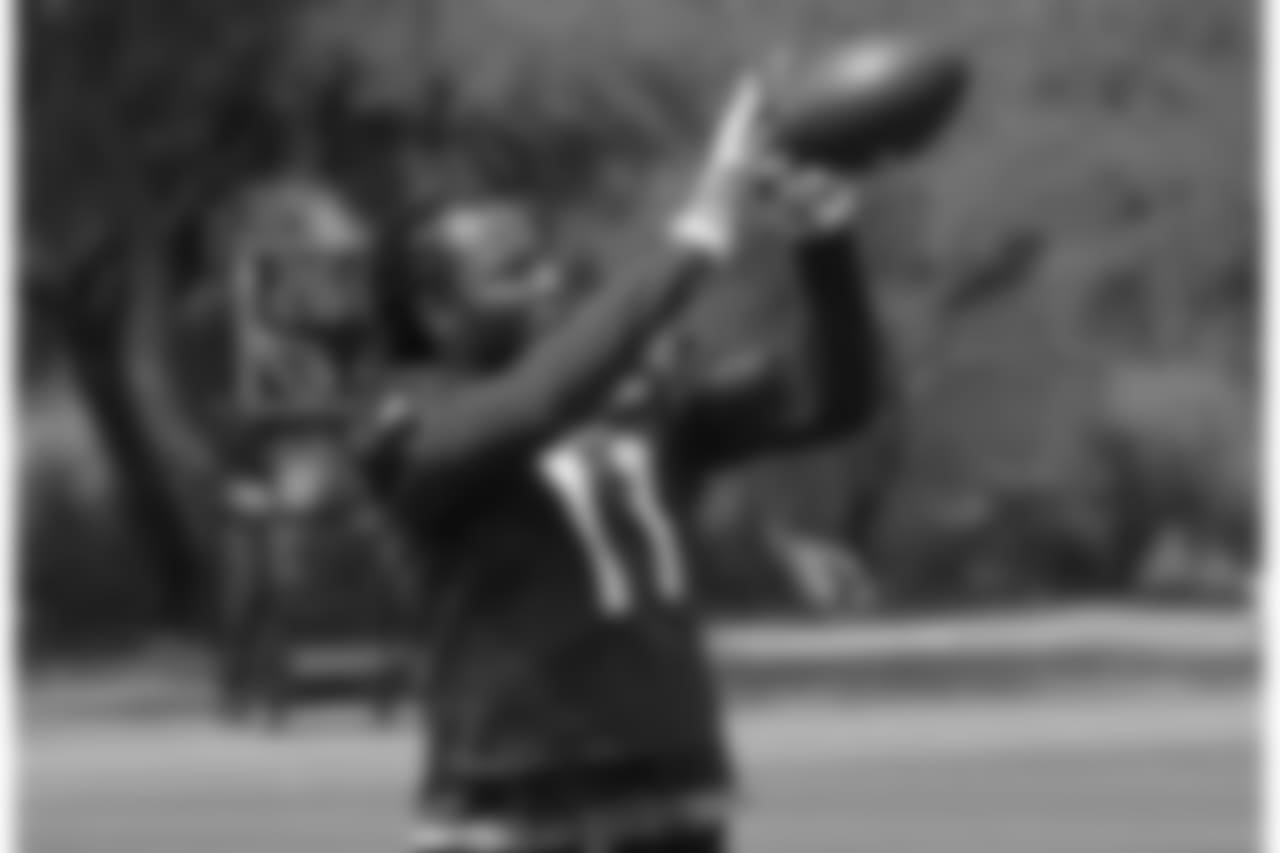 WR Larry Fitzgerald