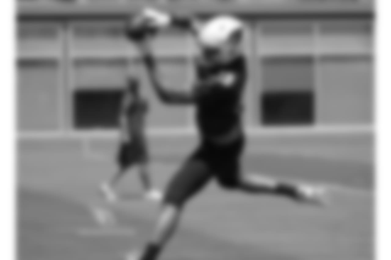 WR Brice Butler