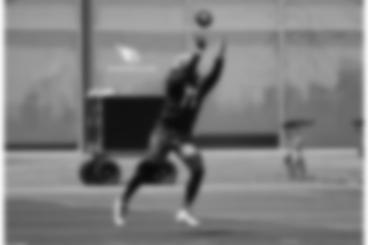 WR Larry Fitzgerald
