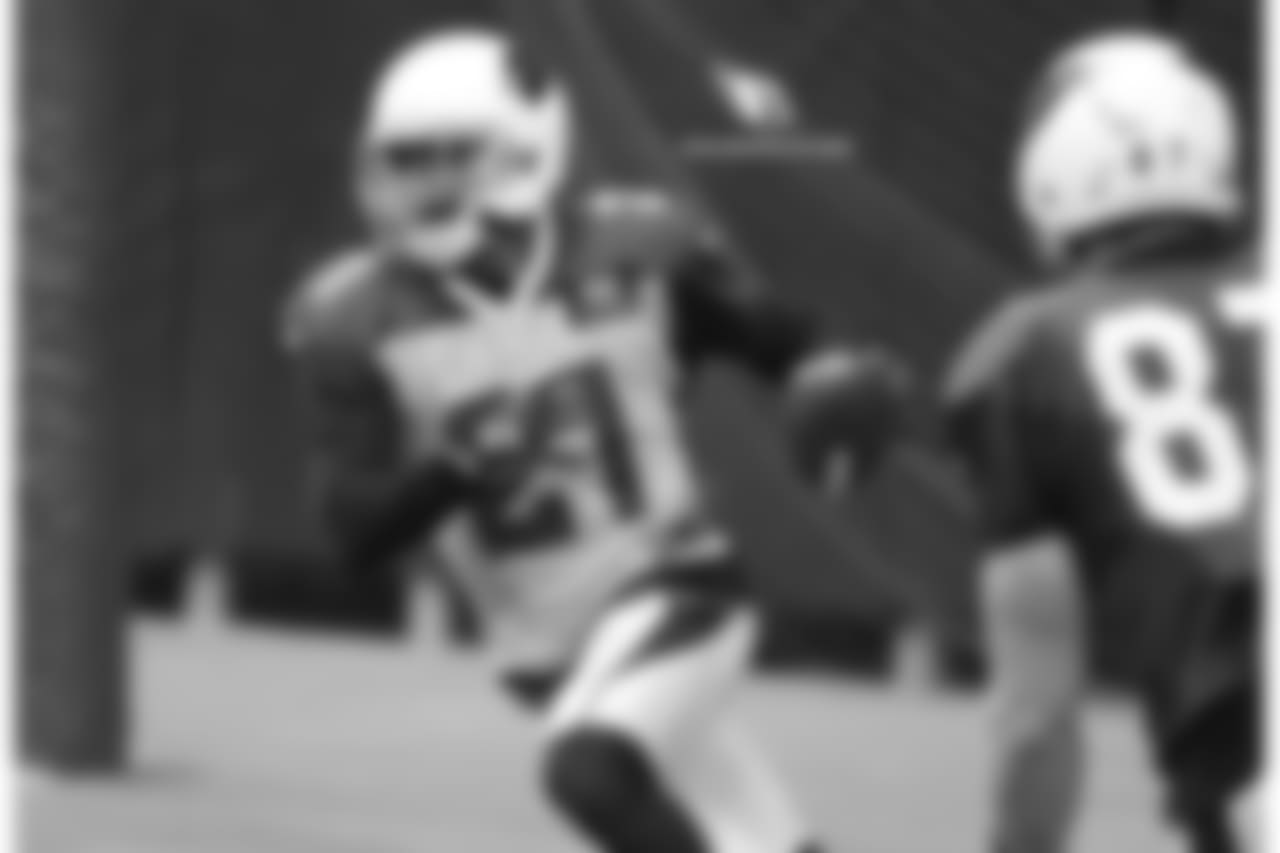 CB Patrick Peterson snags an interception