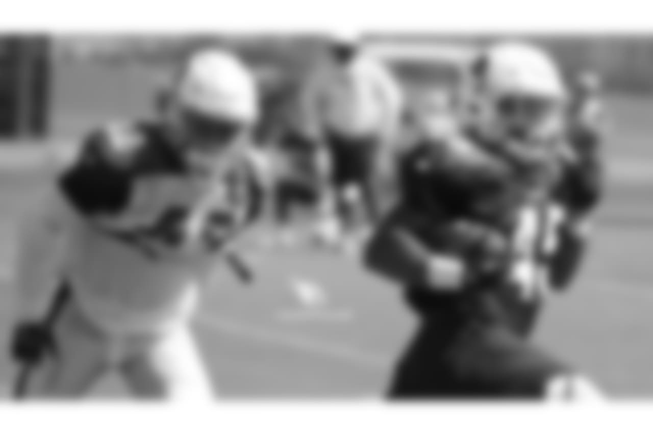 RB Sherman Badie
