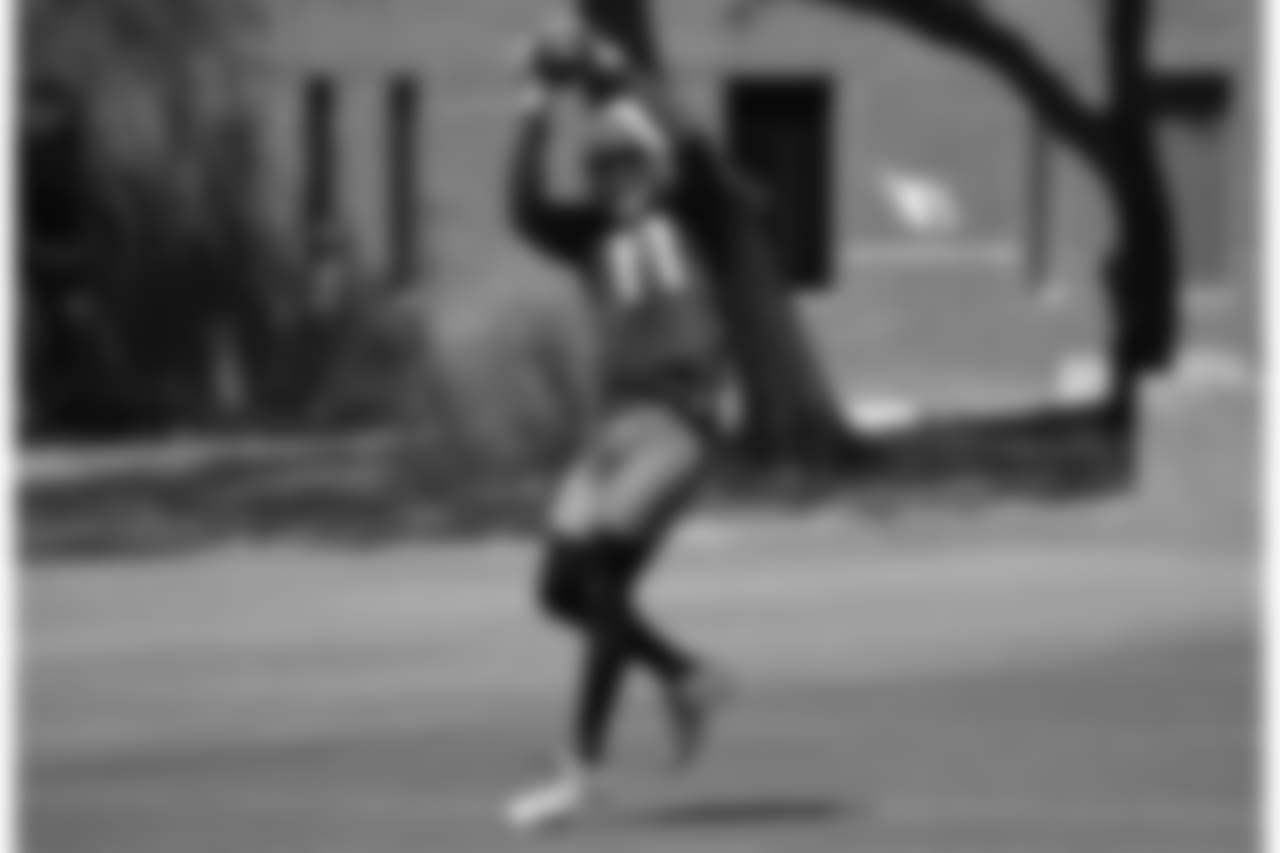 WR Larry Fitzgerald