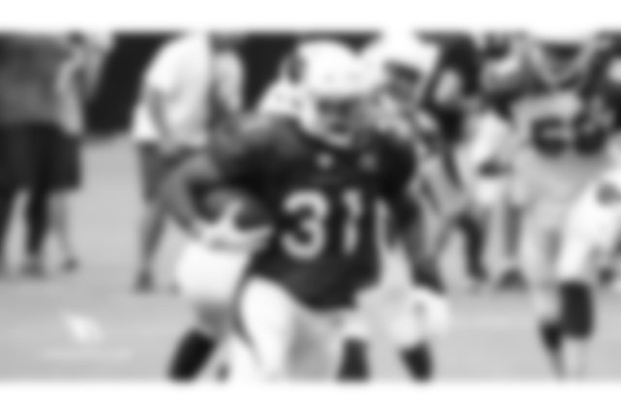 RB David Johnson