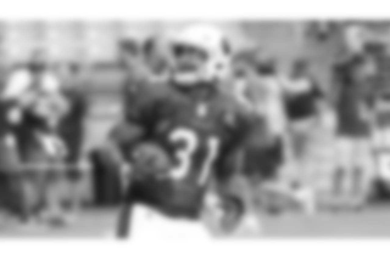 RB David Johnson