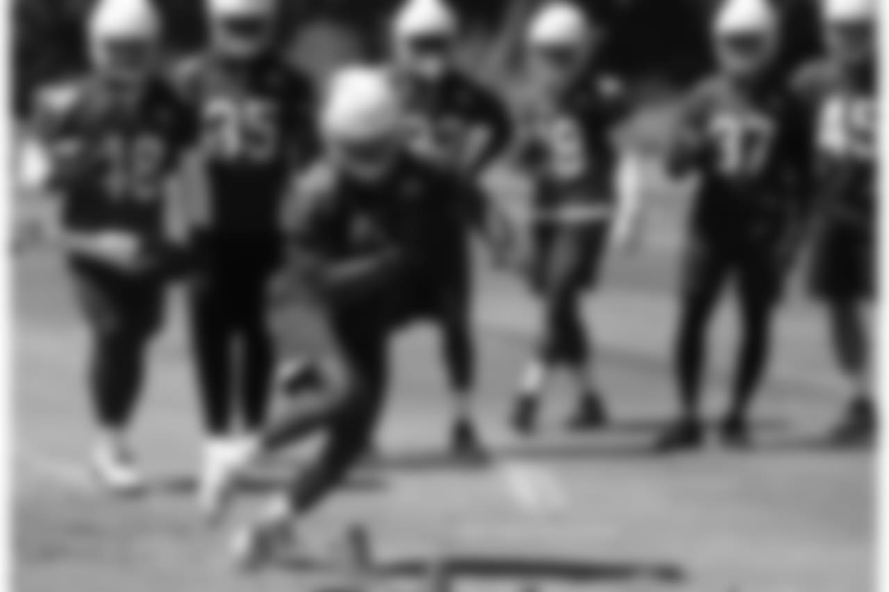 RB David Johnson