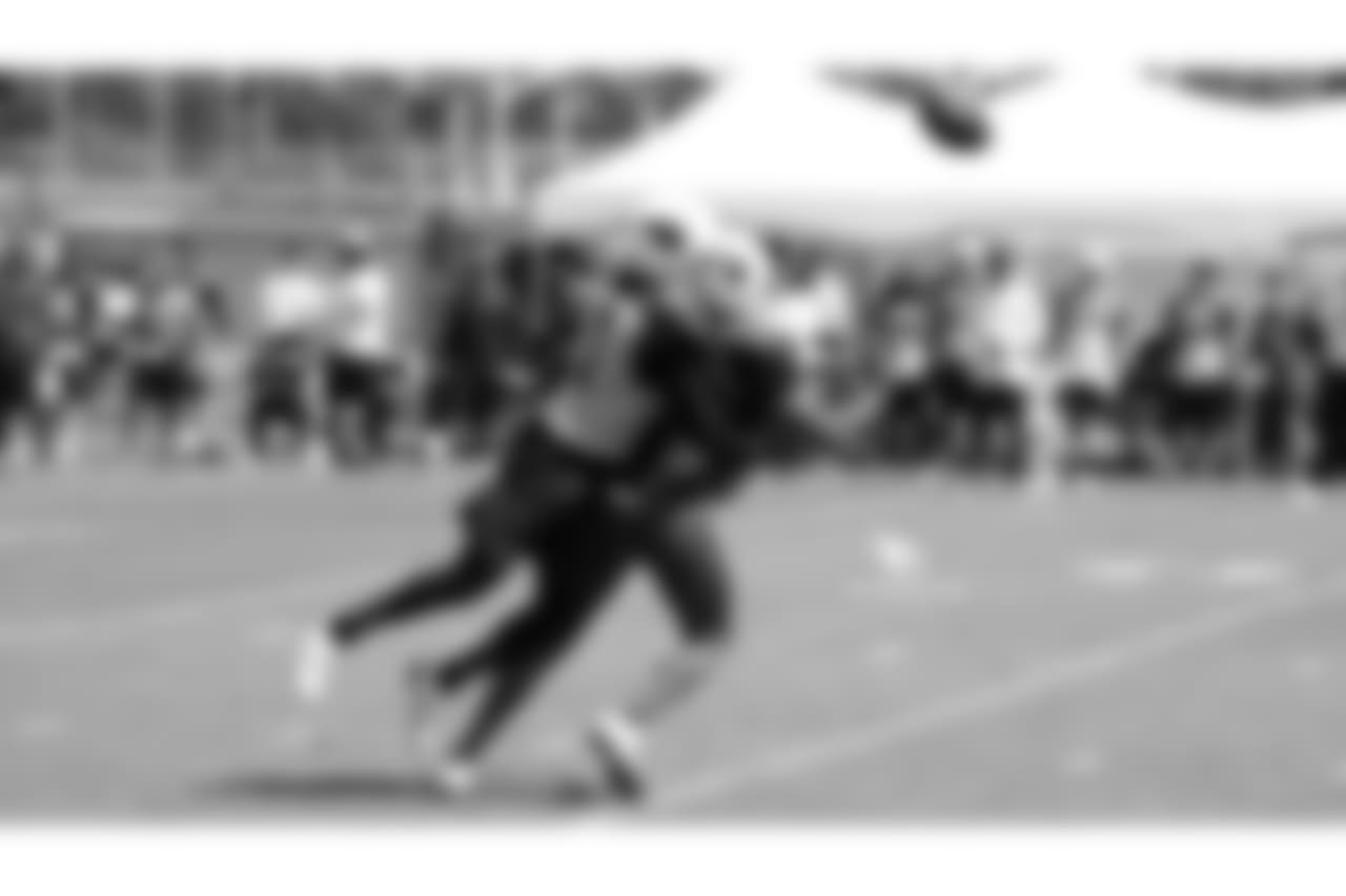 WR Larry Fitzgerald catches a tipped pass with CB Patick Peterson in coverage