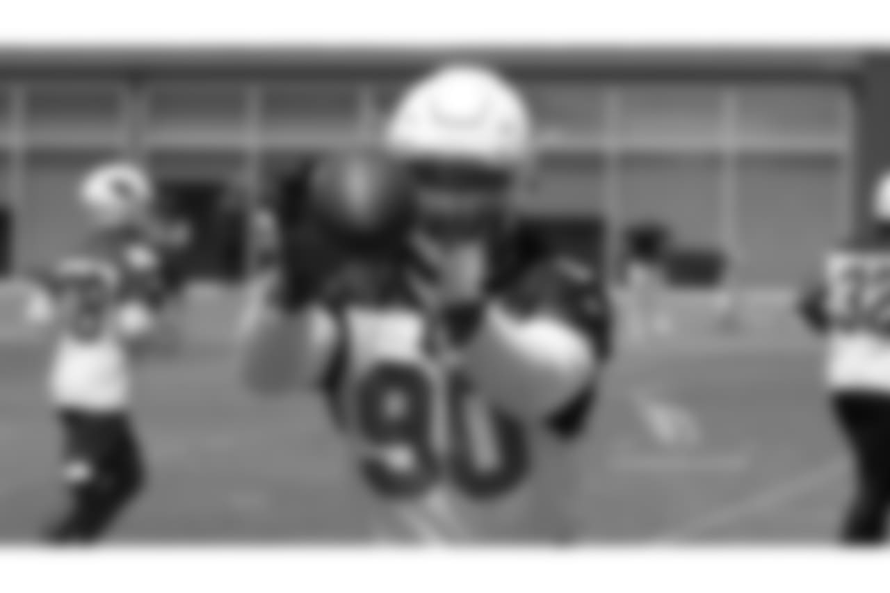 DT Robert Nkemdiche