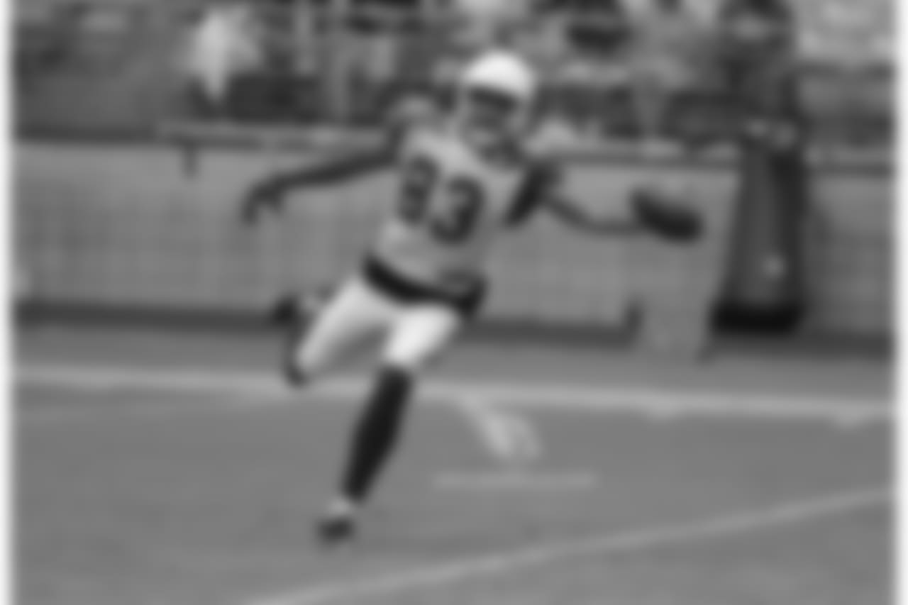 WR Aaron Dobson