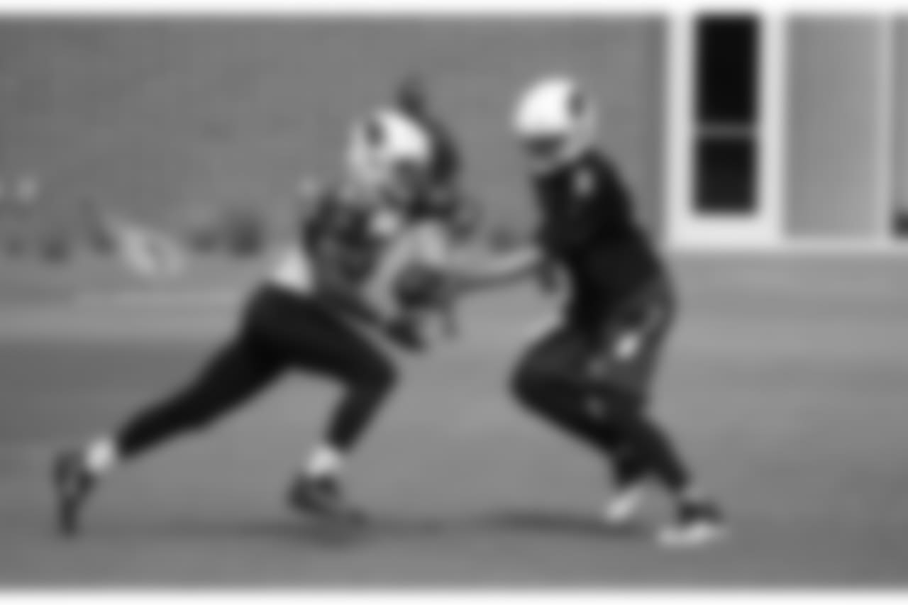 RB David Johnson takes a handoff