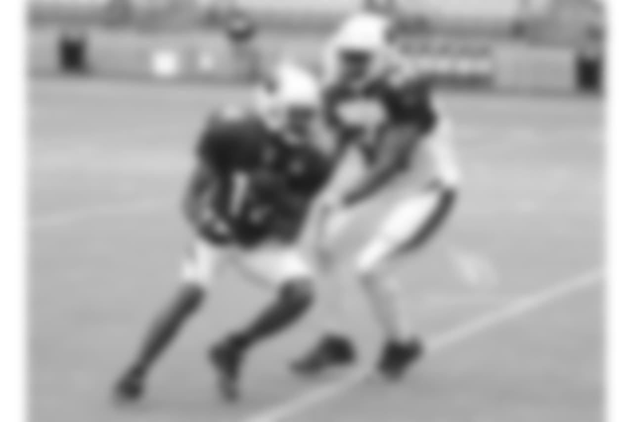 WR J.J. Nelson