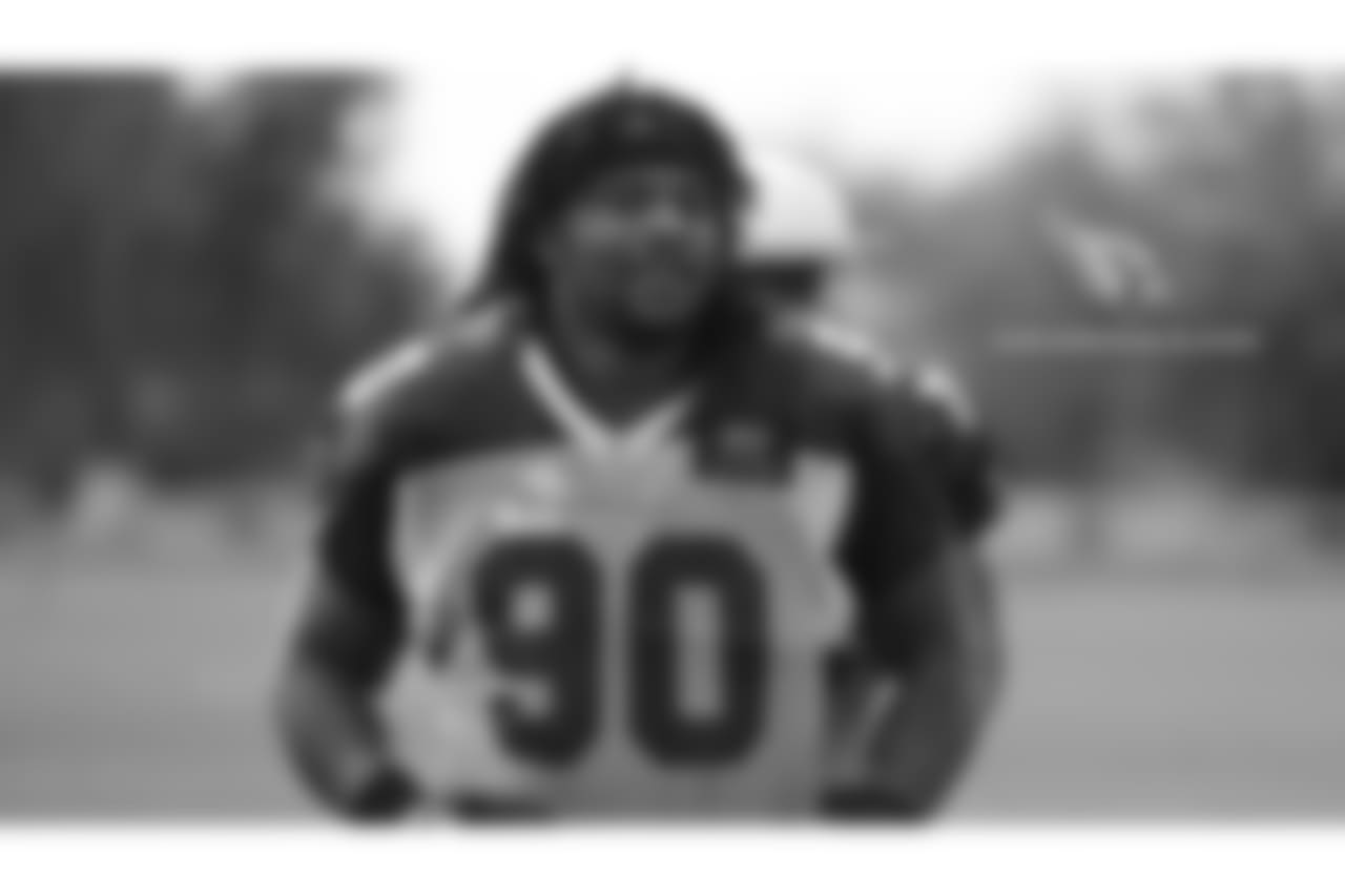DT Robert Nkemdiche