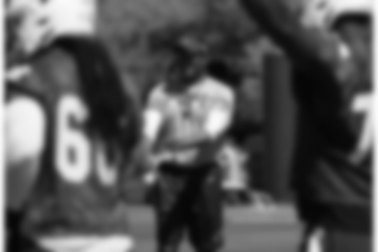 Coach Steve Wilks