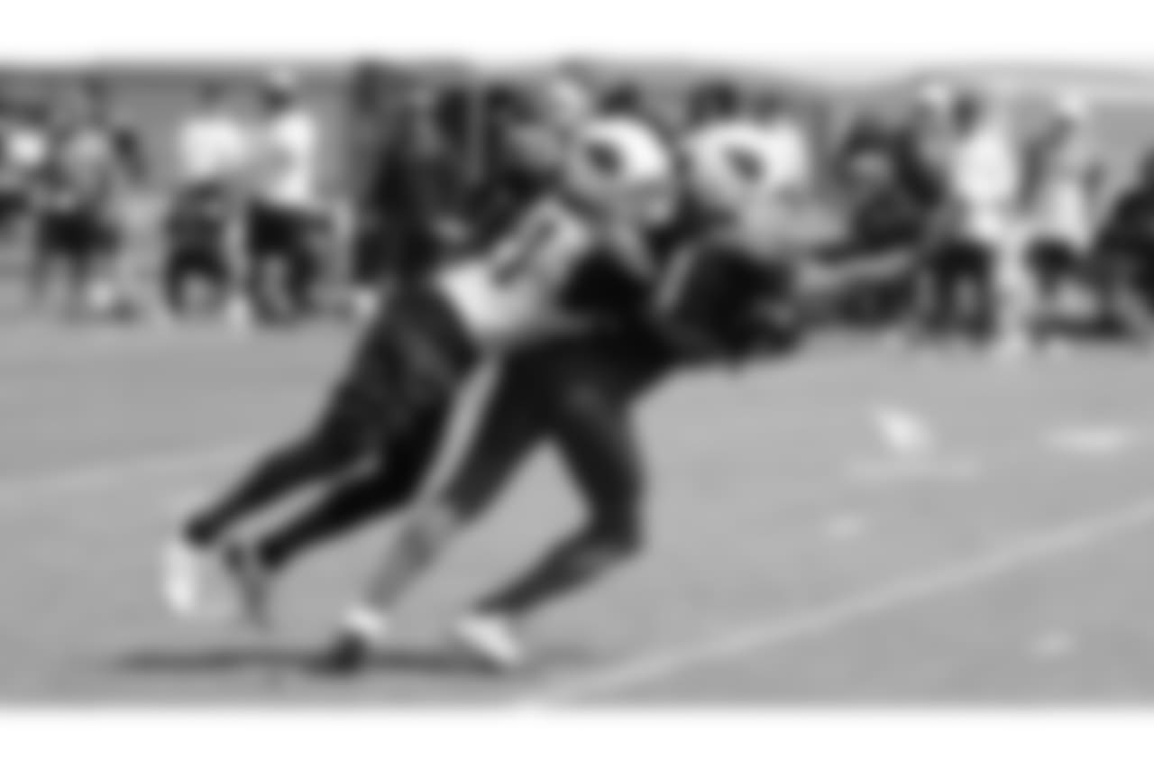 WR Larry Fitzgerald catches a tipped pass with CB Patick Peterson in coverage